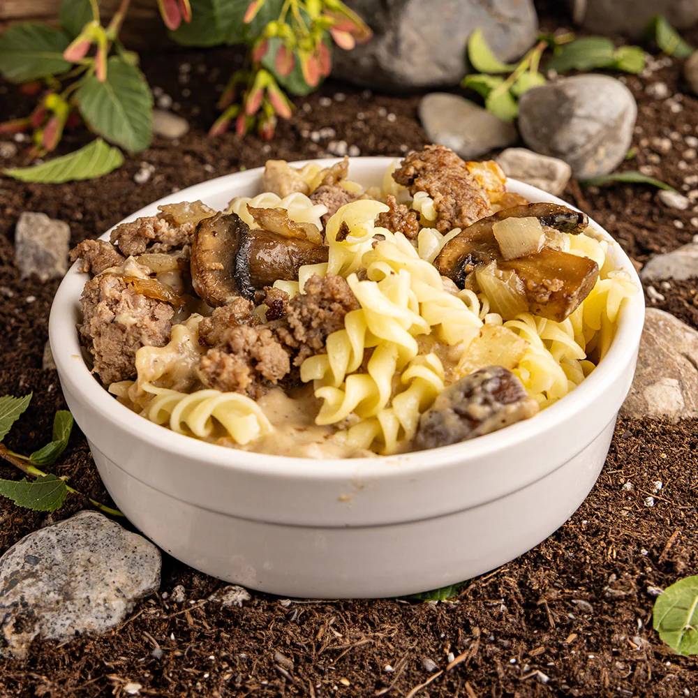 72-Hour Kit – Premium Meals (9 Pouches, 18 Servings) by Beyond Outdoor Meals - Image 17