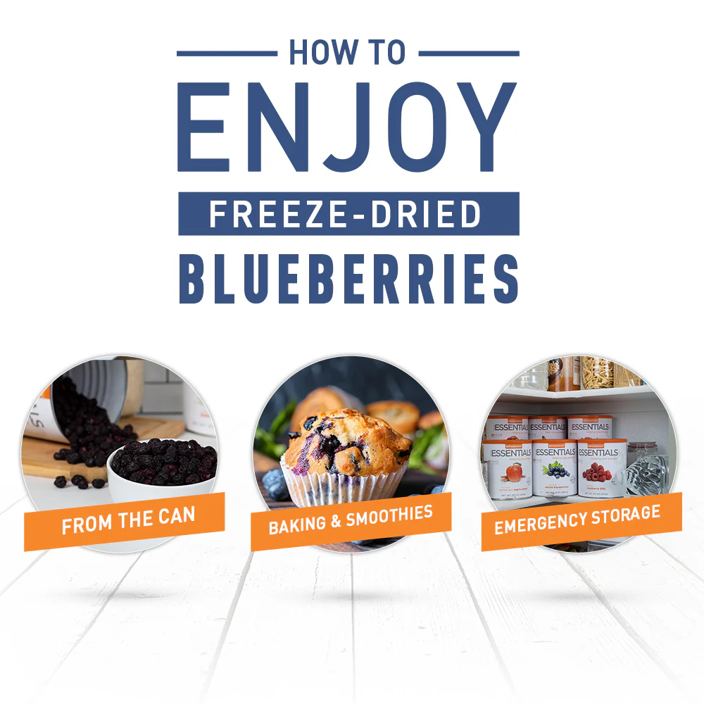 Emergency Essentials® Freeze-Dried Whole Blueberries Large #10 Can - Image 5