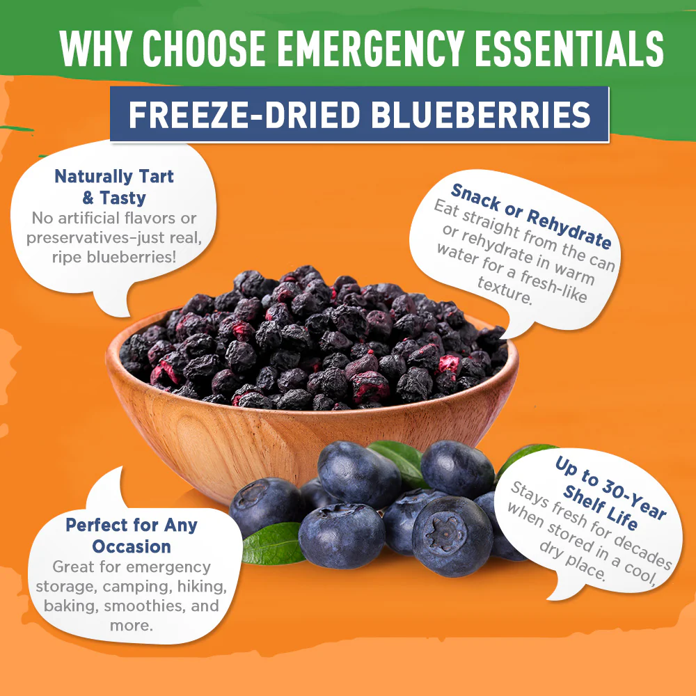 Emergency Essentials® Freeze-Dried Whole Blueberries Large #10 Can - Image 6