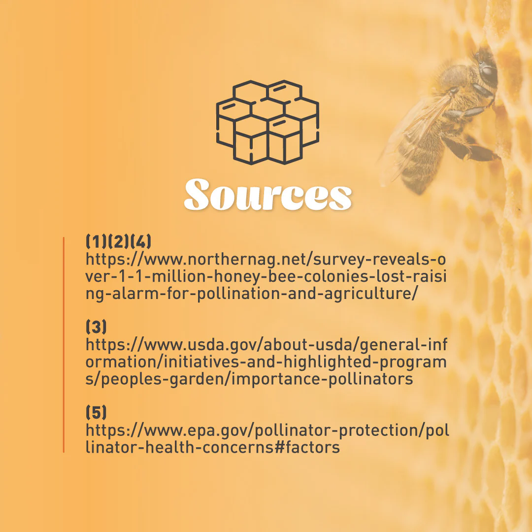 Emergency Essentials® Honey Powder Large Can - Image 12