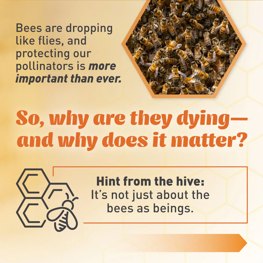 Emergency Essentials® Honey Powder Large Can - Image 8