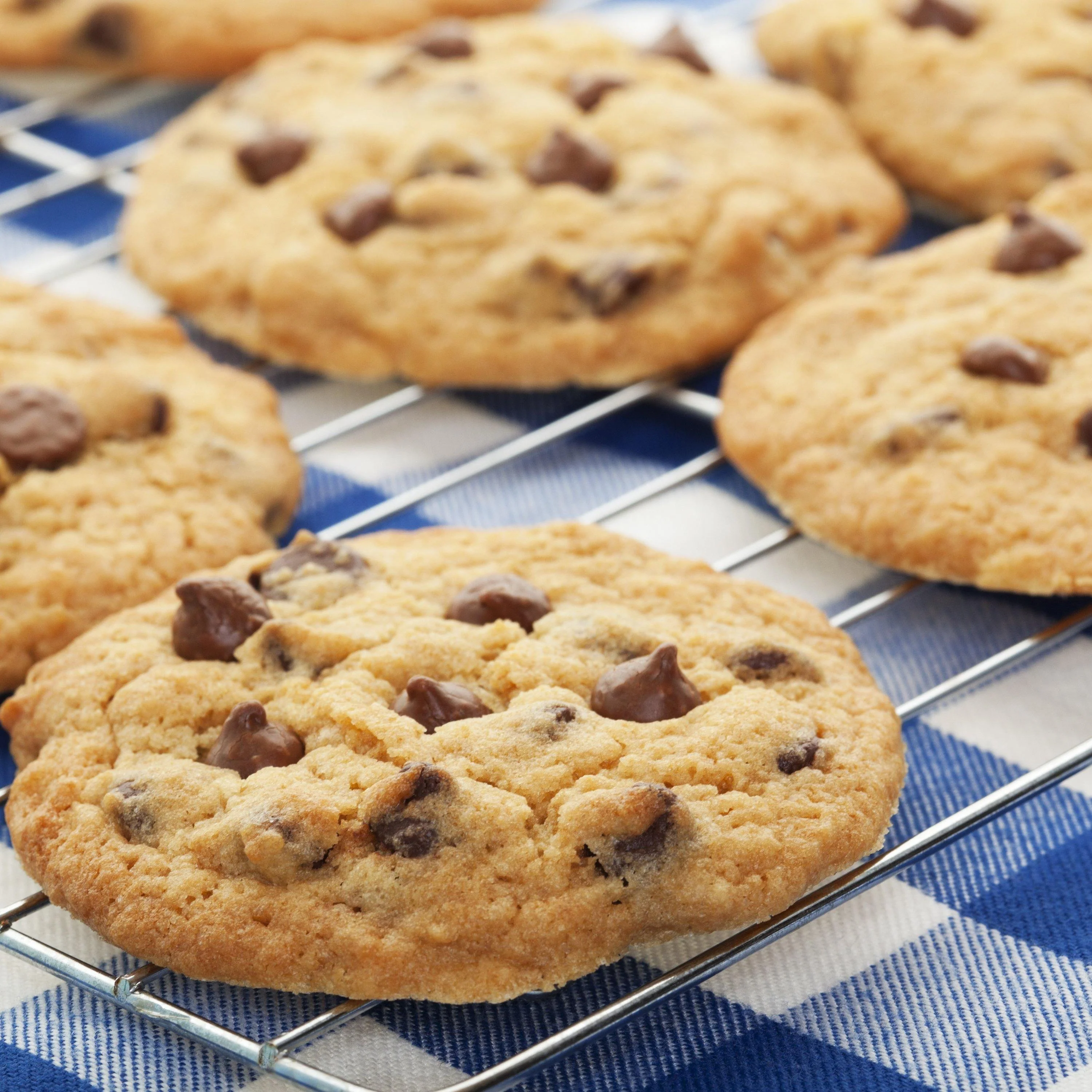 Emergency Essentials® Whole Egg Powder Large #10 Can - Image 8